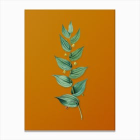 Vintage Twistedstalk Botanical on Sunset Orange Canvas Print