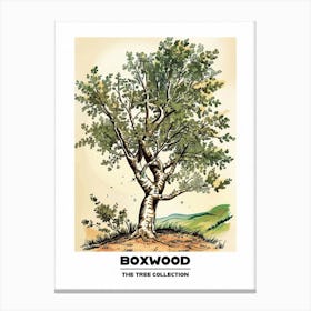 Boxwood Tree Storybook Illustration 3 Poster Canvas Print
