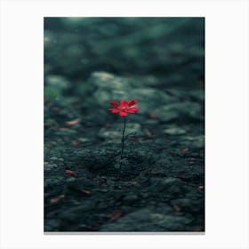 Red Flower In The Dirt Canvas Print