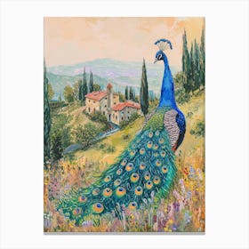 Peacock In The Meadow With A Country House In The Background Canvas Print