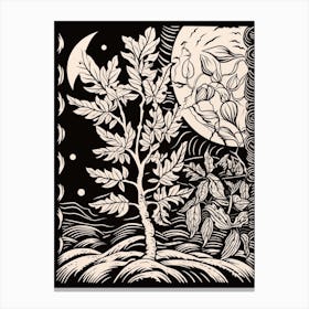 B&W Plant Illustration Croton Codiaeum 2 Canvas Print