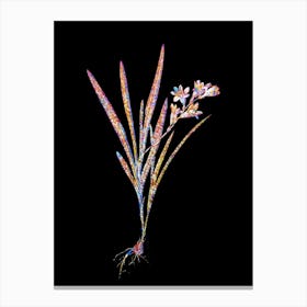 Stained Glass Gladiolus Xanthospilus Mosaic Botanical Illustration on Black Canvas Print