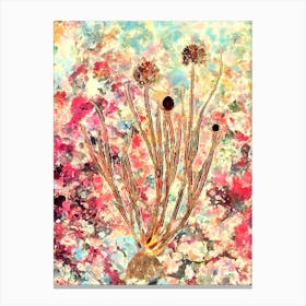 Impressionist Allium Globosum Botanical Painting in Blush Pink and Gold Canvas Print