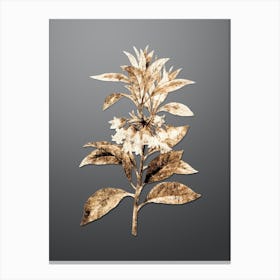 Gold Botanical Chinese New Year Flower on Soft Gray n.1008 Canvas Print