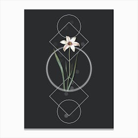 Vintage Lady Tulip Botanical with Geometric Line Motif and Dot Pattern n.0180 Canvas Print