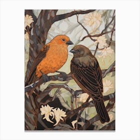 Art Nouveau Birds Poster Cowbird 2 Canvas Print