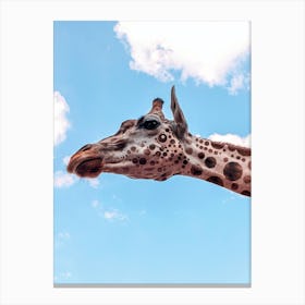 Polkadots Giraffe Head Canvas Print