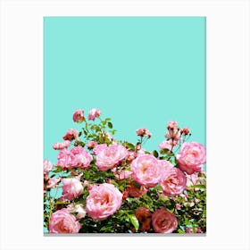 Blissful In Canvas Print