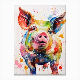 Pig Colourful Watercolour 3 Canvas Print