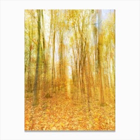 Corridor Of Autumn Leaves Canvas Print