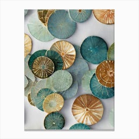 Sand Dollar Vintage Graphic Watercolour Canvas Print