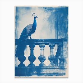 Cyanotype Inspired Peacock Resting On A Handrail 4 Canvas Print