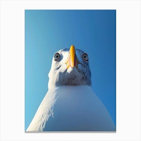 Seagull 1 Canvas Print