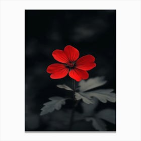 Geranium Flower Canvas Print