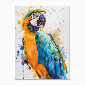 Parrot Colourful Watercolour 2 Canvas Print