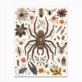 Colourful Insect Illustration Tarantula 14 Canvas Print