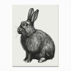 English Angora Blockprint Rabbit Illustration 4 Canvas Print