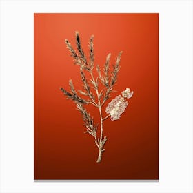 Gold Botanical Swamp Paperbark Branch on Tomato Red n.4631 Canvas Print