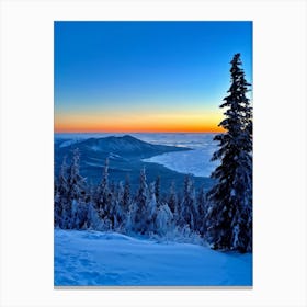 A Winter Scenario At The Heart Of The Arctic Where Pines And Wilderness Blend With The Serene Hues (1) Canvas Print