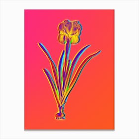Neon Mourning Iris Botanical in Hot Pink and Electric Blue Canvas Print