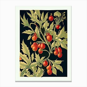 Firethorn 3 Floral Botanical Vintage Poster Flower Canvas Print