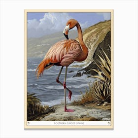 Greater Flamingo Southern Europe Spain Tropical Illustration 2 Poster Canvas Print