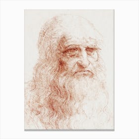  Self Portrait, Leonardo Da Vinci Canvas Print