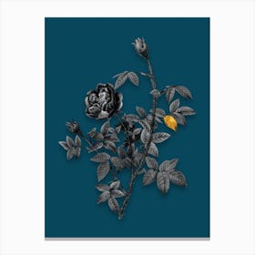 Vintage Moss Rose Black and White Gold Leaf Floral Art on Teal Blue Canvas Print