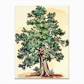 Yew Tree Storybook Illustration 3 Canvas Print