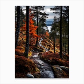 Autumn Forest In Scotland Canvas Print