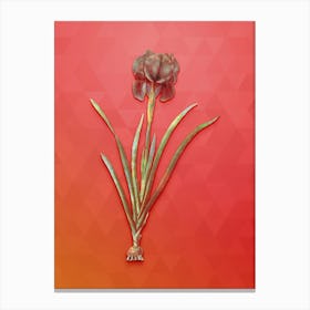 Vintage Mourning Iris Botanical Art on Fiery Red n.1178 Canvas Print