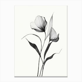 Black And White Flowers 4 Canvas Print