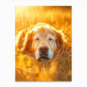 Golden Retriever Dog Sleeping In The Grass.Generated AI. Art Print Canvas Print