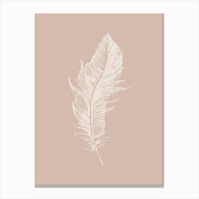 Pink Feather Print 1 Canvas Print