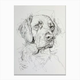 Flat Coated Retriever Dog Line Sketch  3 Canvas Print