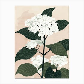 Hydrangea 3 Canvas Print