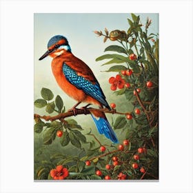 Kingfisher Haeckel Style Vintage Illustration Bird Canvas Print