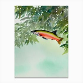 Salmon Storybook Watercolour Canvas Print