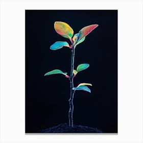 Plant Growing On Black Background 7 Canvas Print