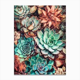 Succulents 1 nature flora Canvas Print