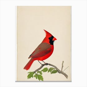 Northern Cardinal Illustration Bird Canvas Print
