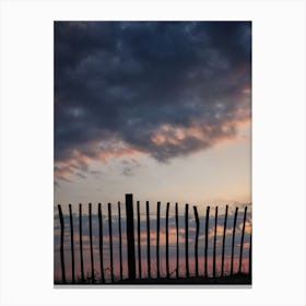 Sitting On The Fence Canvas Print