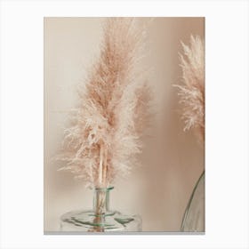 Pampa Grass Reeds Vase Canvas Print