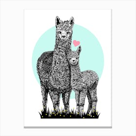 Happy Alpacas Print  Canvas Print
