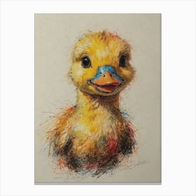 Duckling Canvas Print
