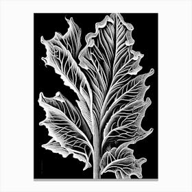 Mullein Leaf Linocut 4 Canvas Print