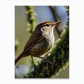 House Wren -Reimagined 2 Canvas Print