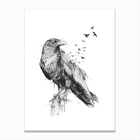 Born to be free (bw) Canvas Print