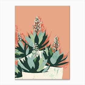 Succulents Plant Minimalist Illustration 8 Canvas Print