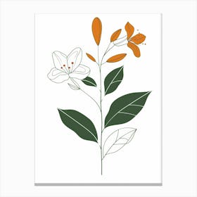 Lily Of The Valley 80 Canvas Print